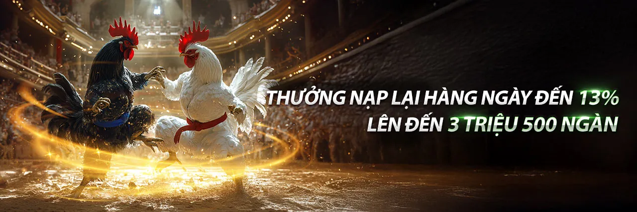 Sân đấu gà trực tuyến tip88 đăng nhập sôi động